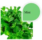 Mint soft serve ice cream